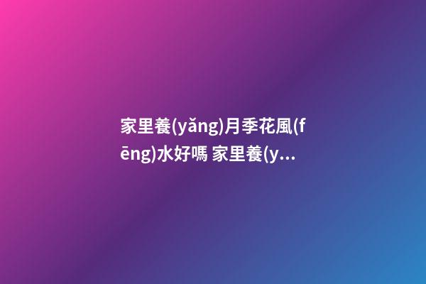 家里養(yǎng)月季花風(fēng)水好嗎 家里養(yǎng)月季花風(fēng)水禁忌